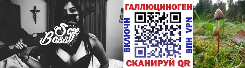 Псилоцибиновые грибы прущие грибы  Рыбное 